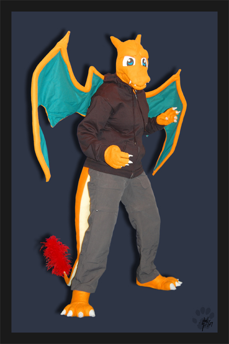 Charizard -Partial Dragon Costume