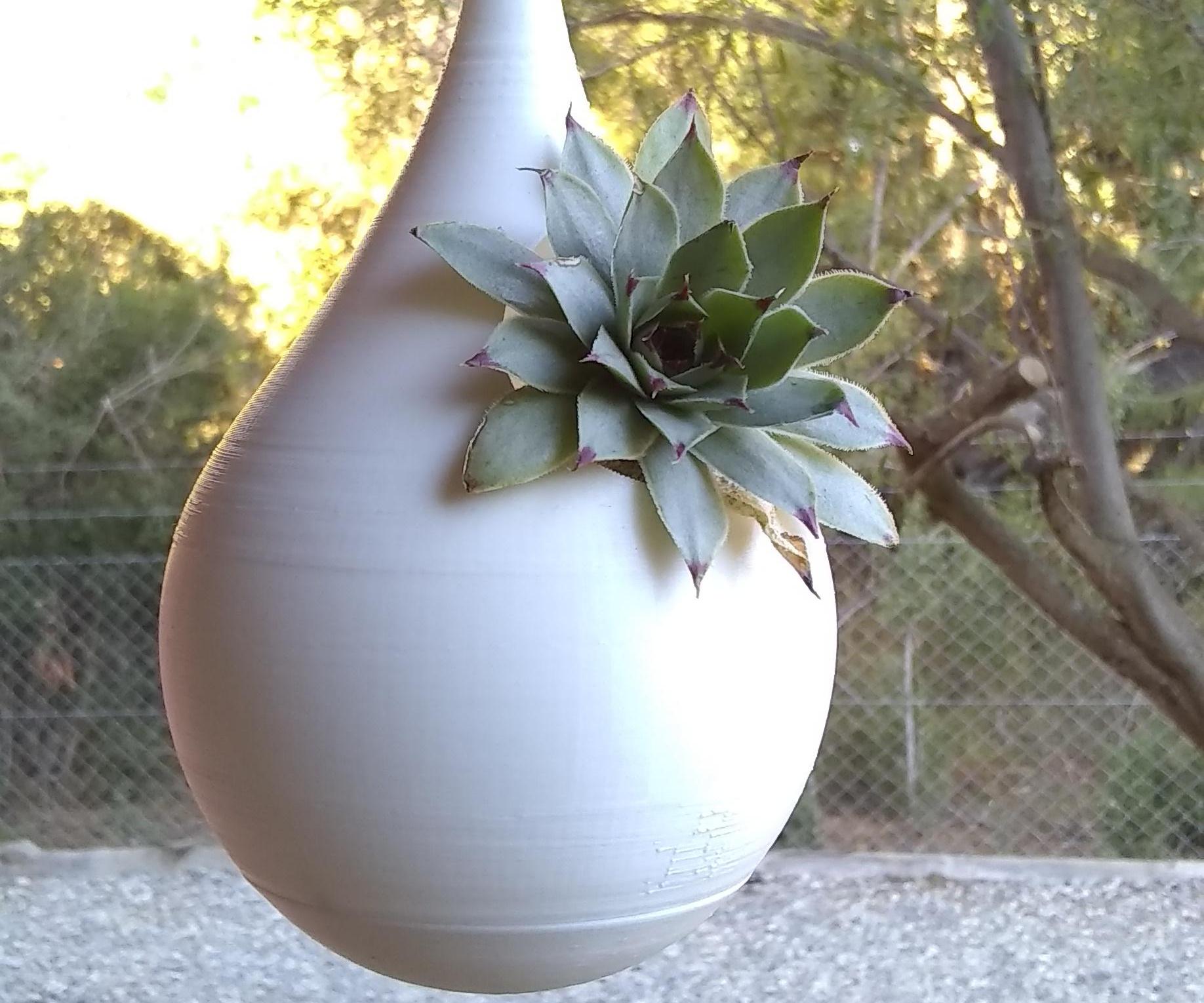 A One-of-a-kind 3D Printed Hanging Pot