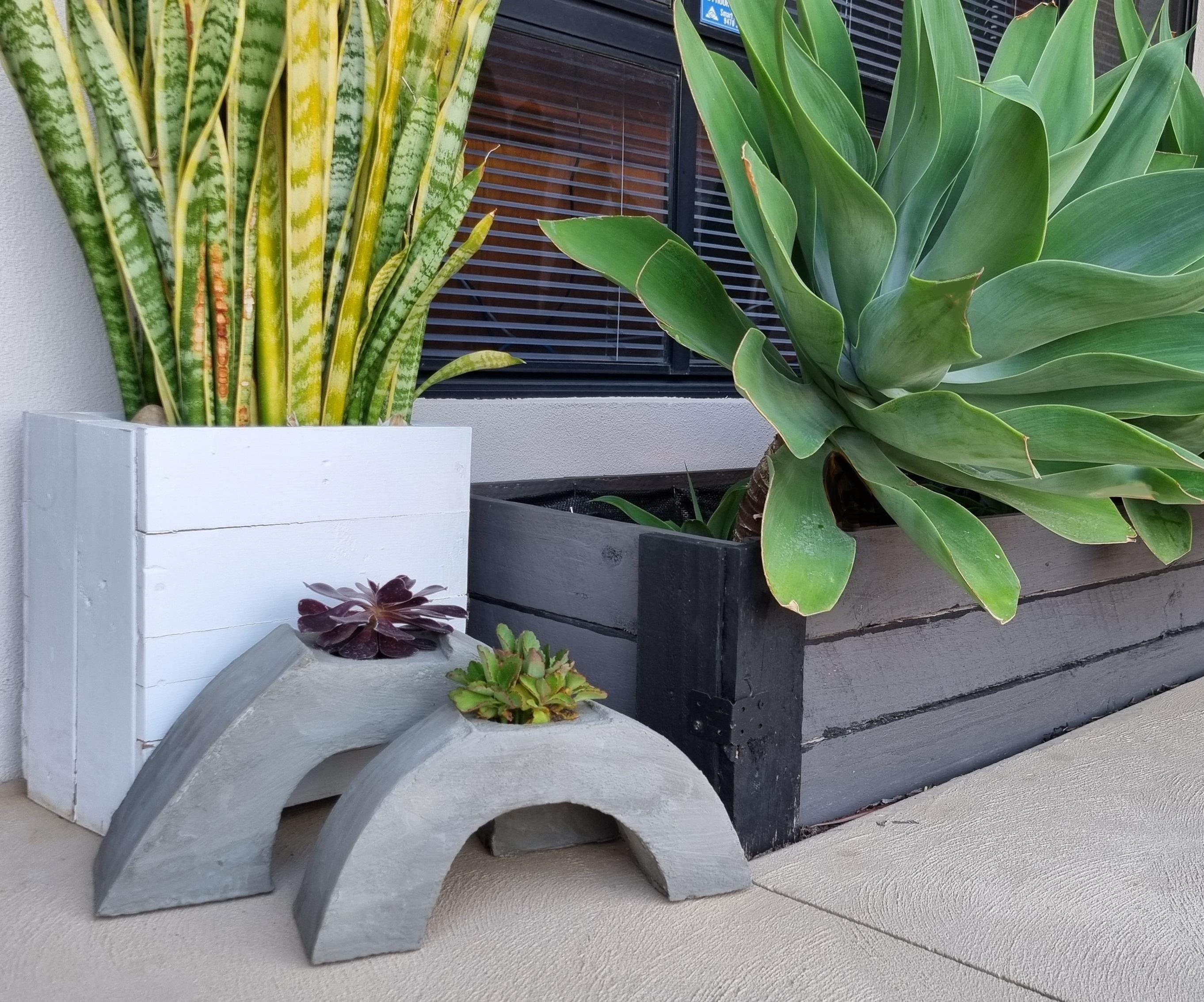 Cute Little Concrete Succulent Planter
