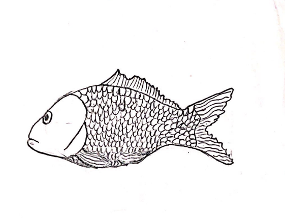 How to Draw a Fish