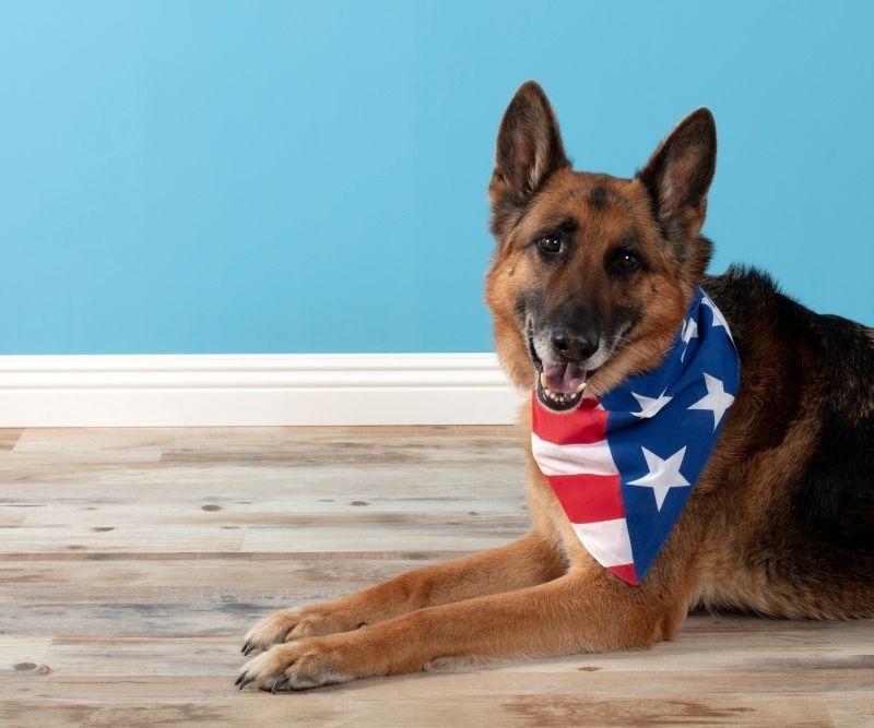 American Flag Dog Bandana