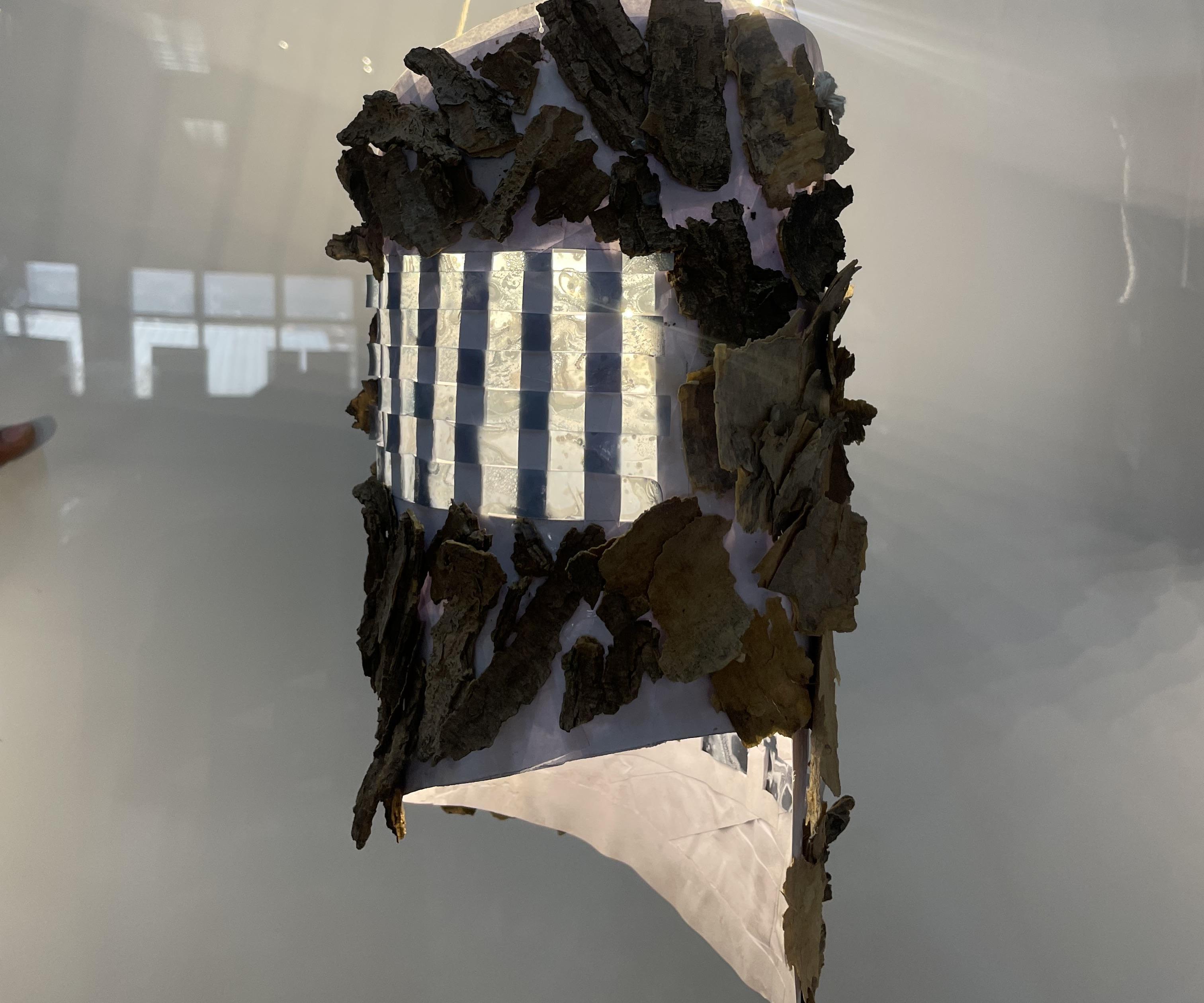 Biodegradable Luminaire