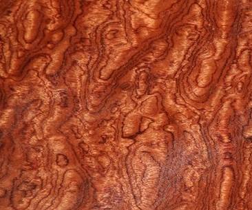 Biggest Mortise & Tenon Tabletop Ever!