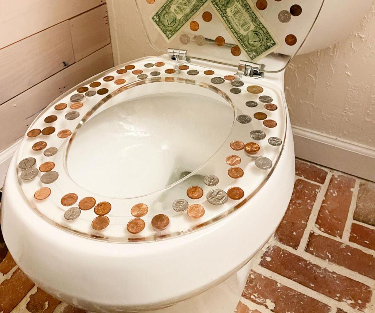 Epoxy Toilet Seat With Money