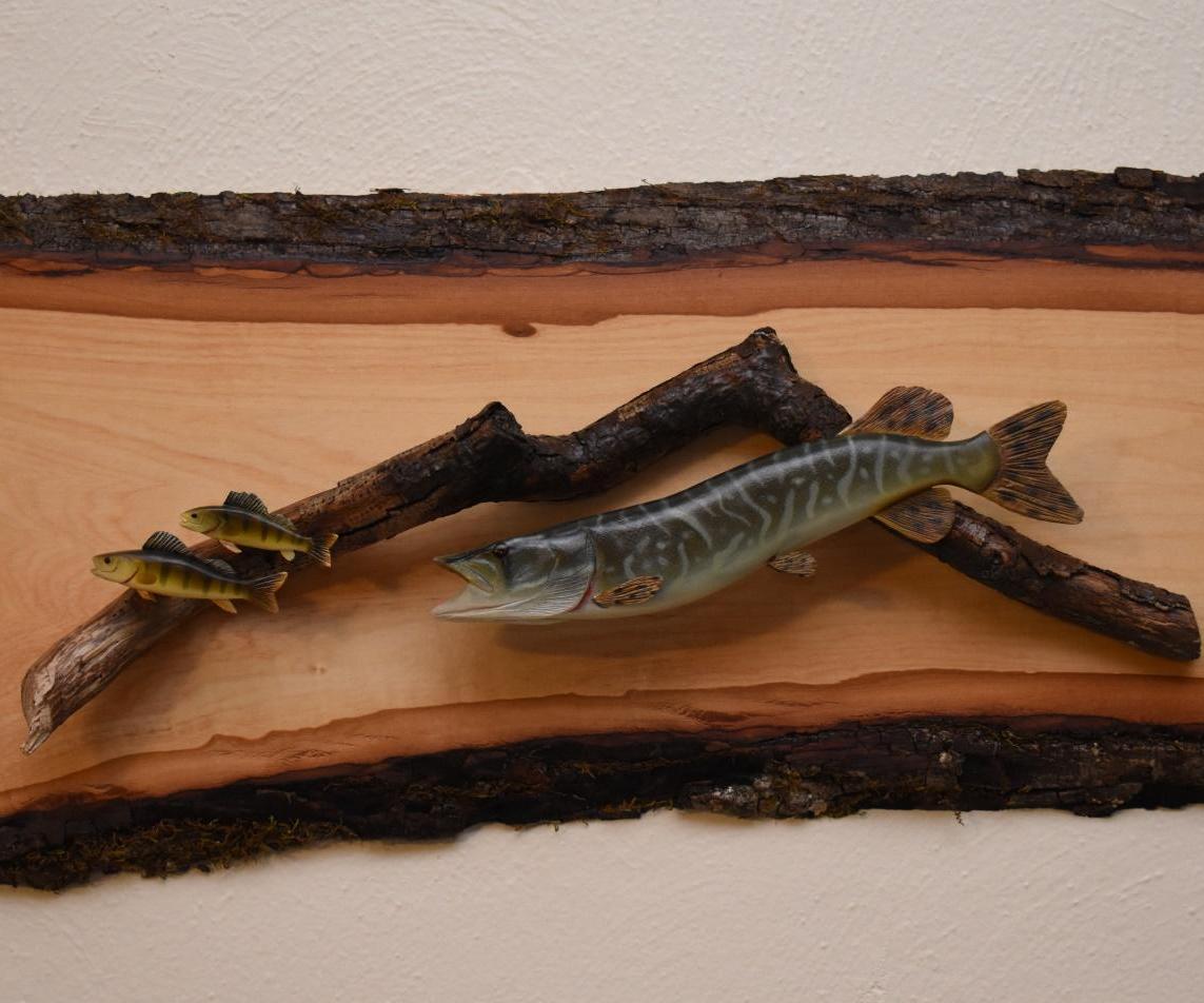 Carve a Northern Pike From Wood