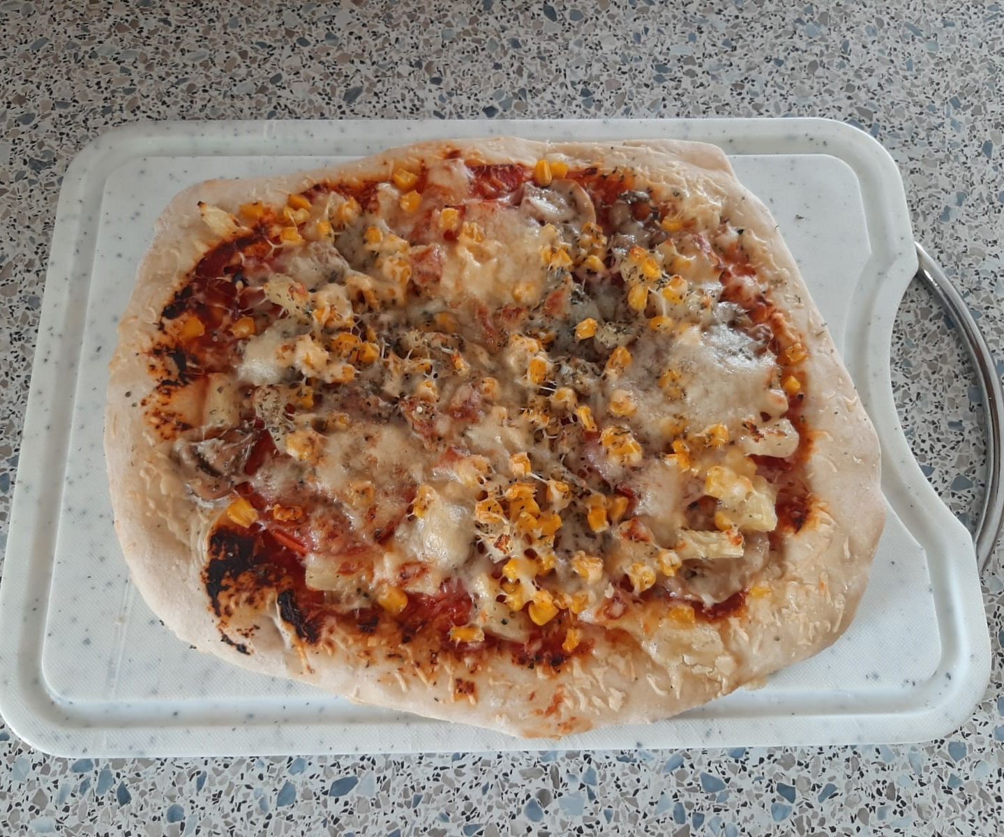 Homemade Delicous Pizza