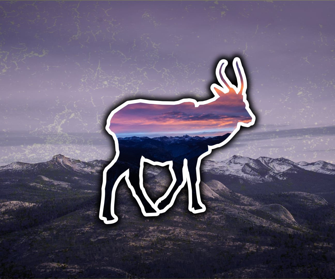 Make Wallpapers From Iconic Trip Photos