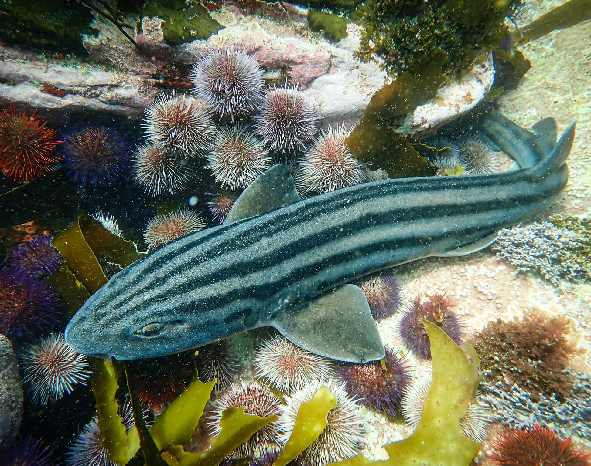 Designing and Testing a 7055 Aluminum Alloy