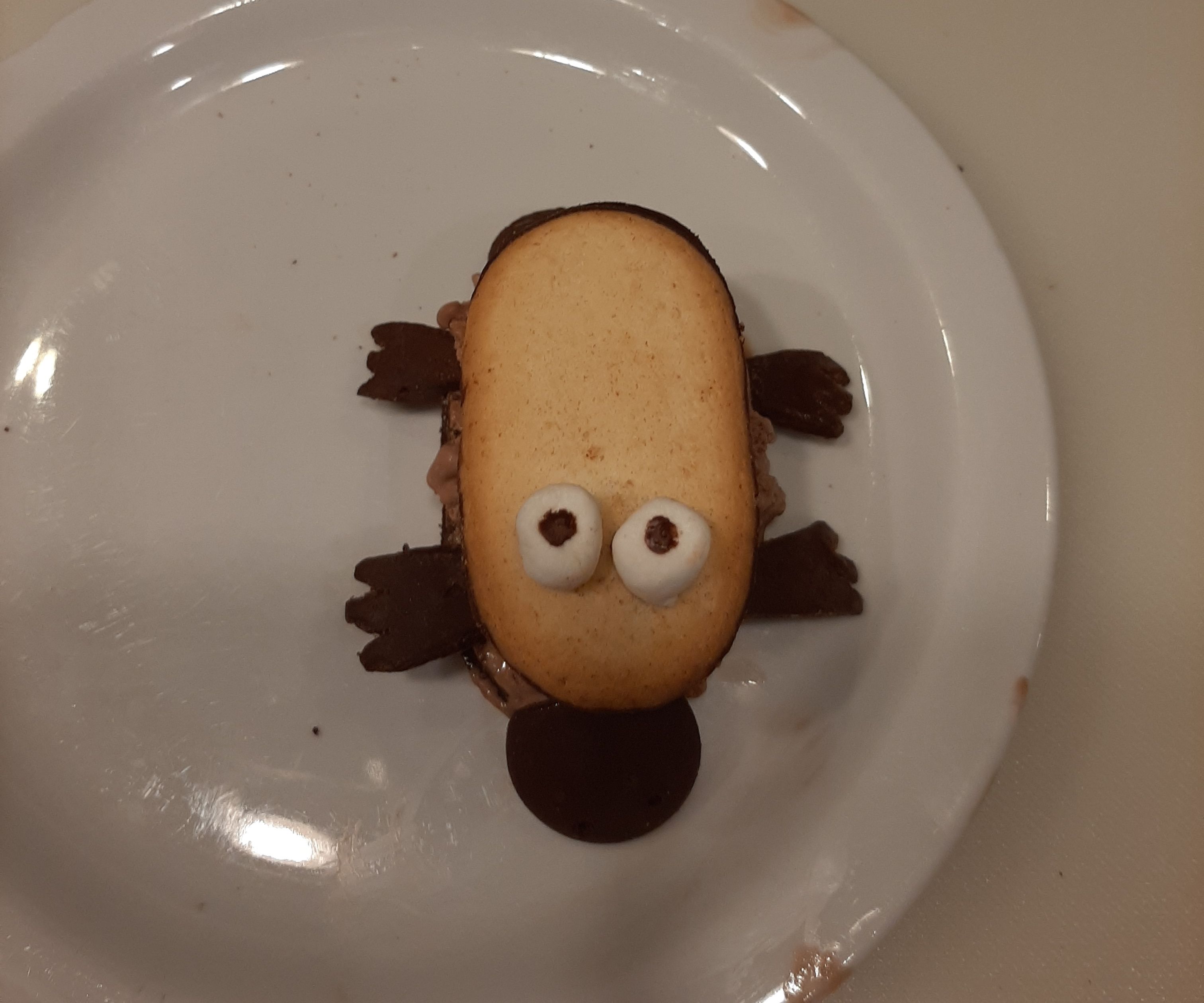 Platypus Ice Cream Sandwich