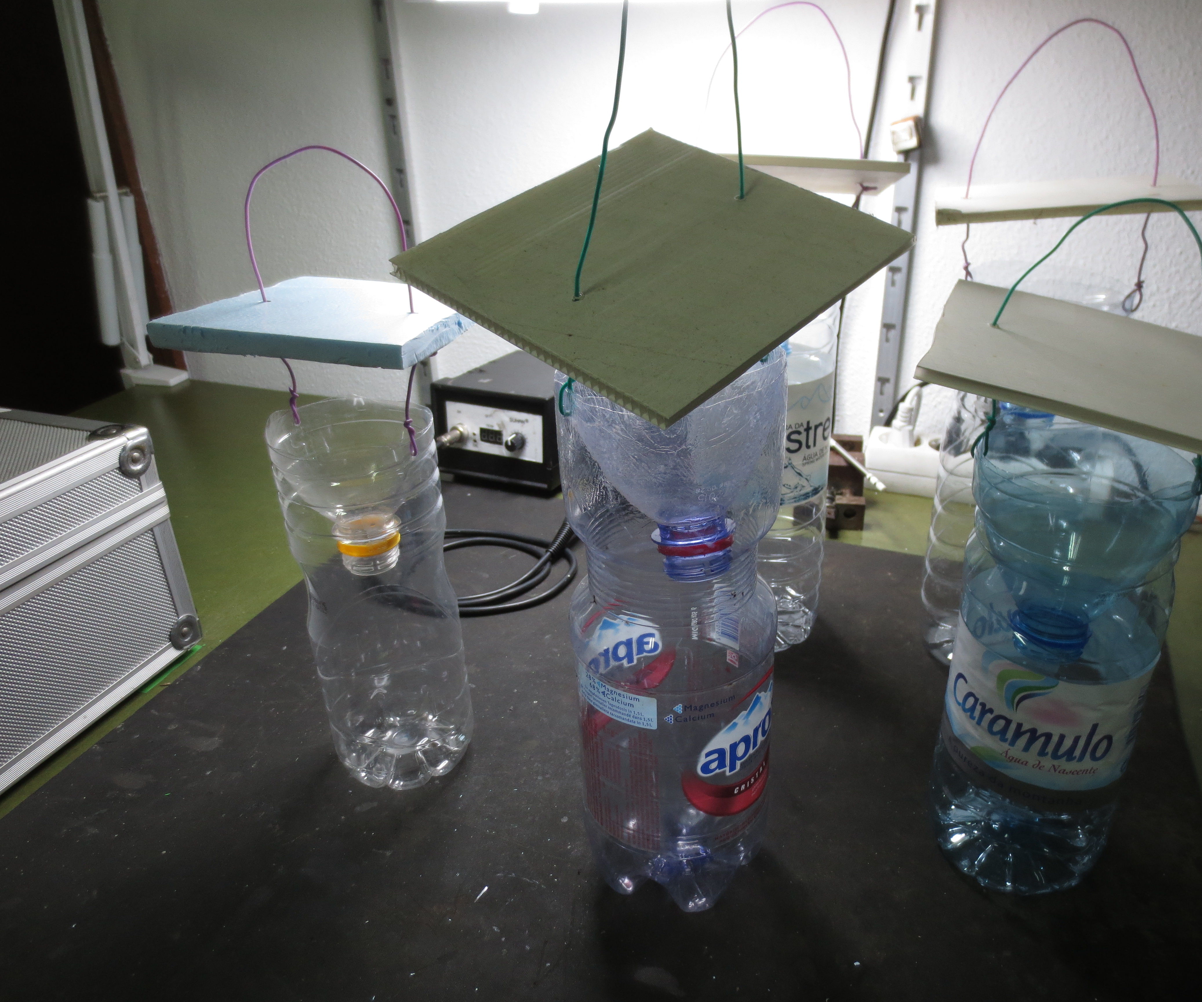 Armadilha Para Vespa Asiática, Asian Hornet