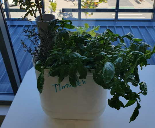 How to Make a Self Watering Planter Box.