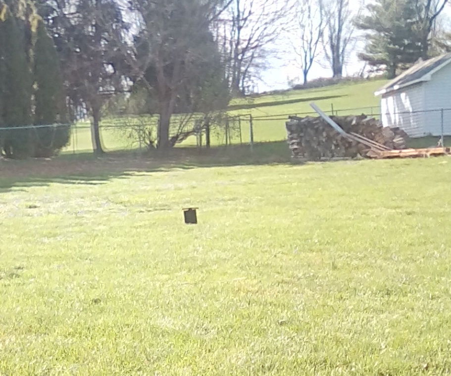 BB Catching Low Power Bb Gun Target 