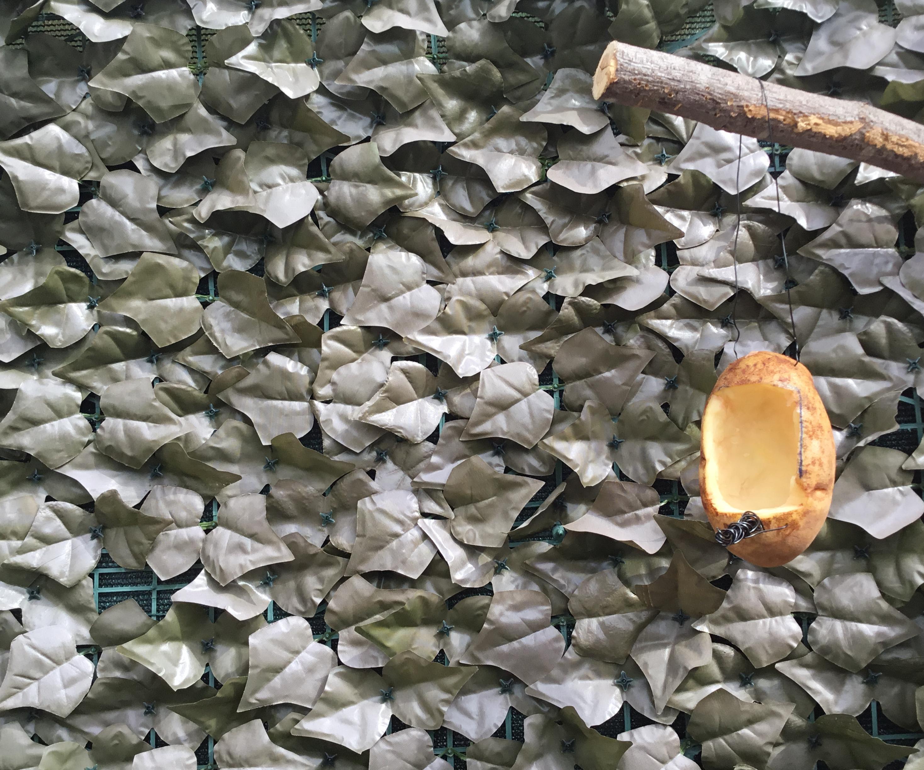 🦜🦜🥔🥔🥔🥔🥔🥔Potato Bird Feeder (2.0v)🥔🥔🥔🥔🥔🥔🥔🦜🦜