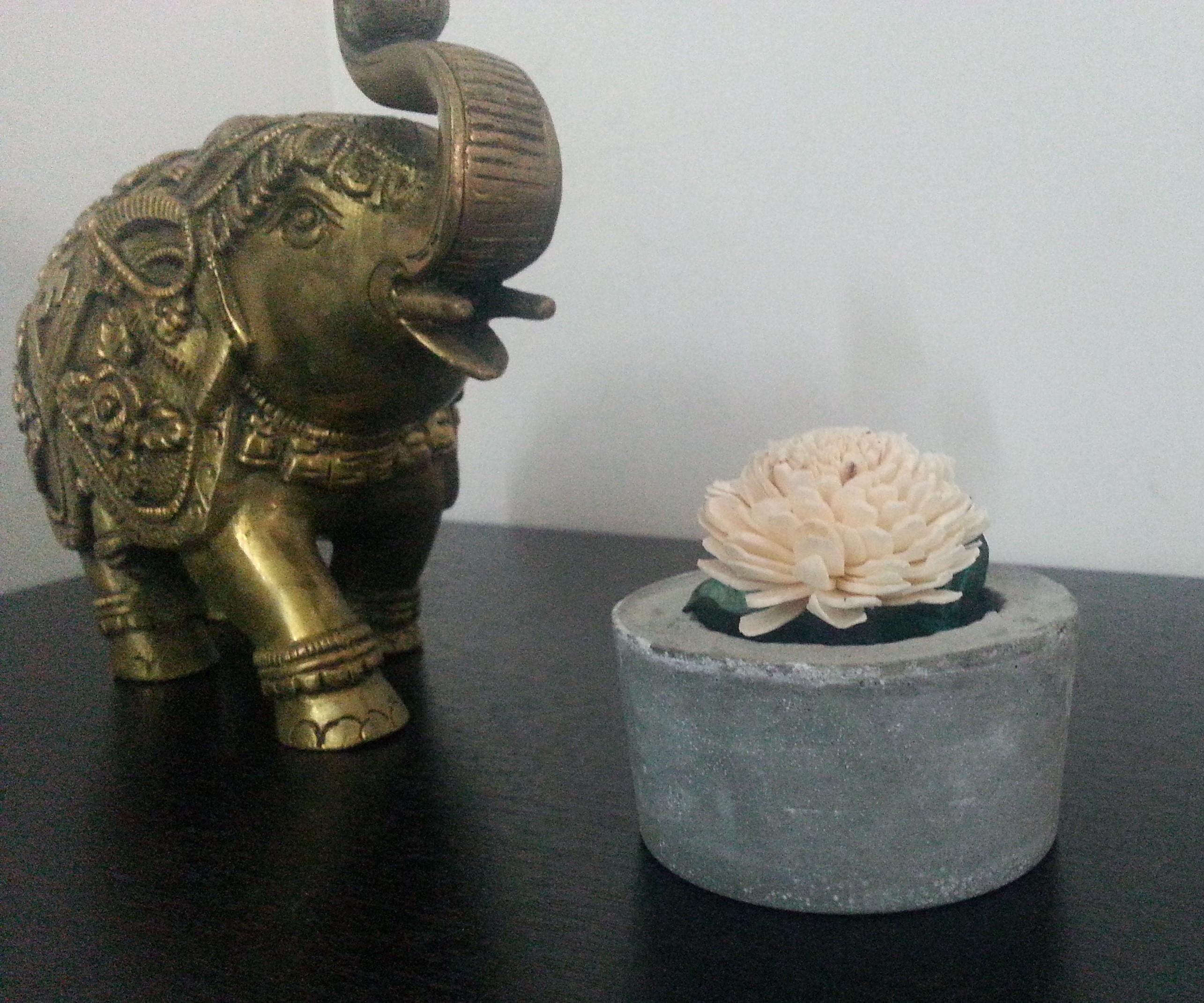 Simple Cement Planters