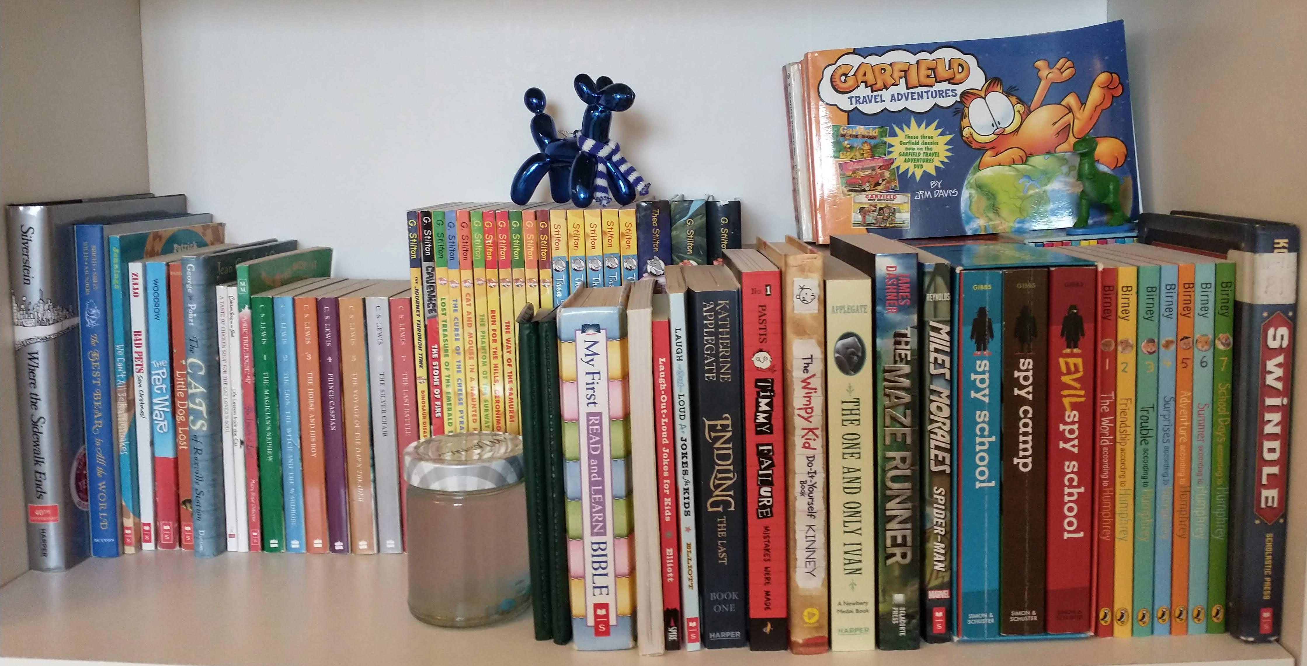 Secret Bookshelf Safe