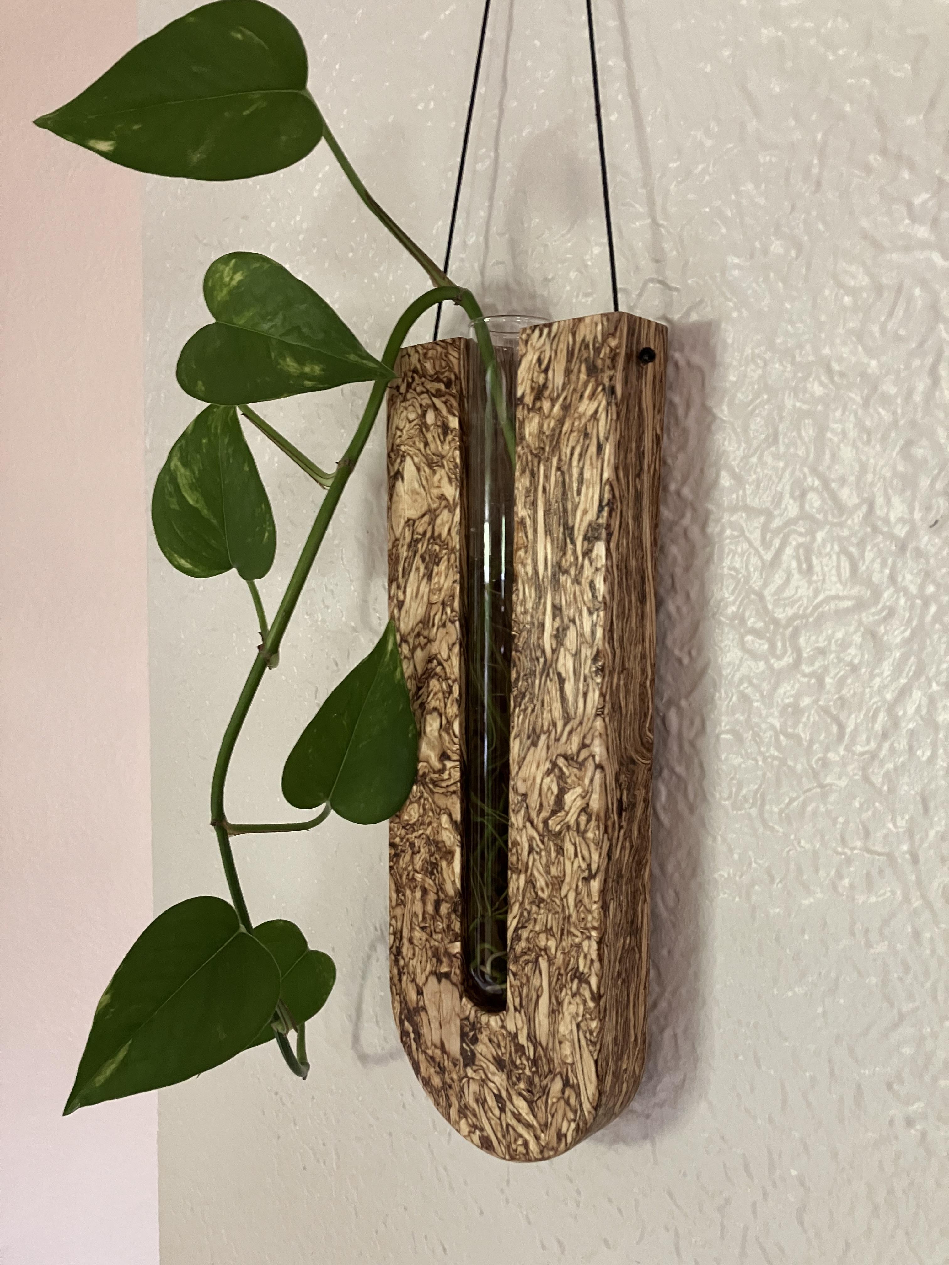 Hanging Test Tube Propagation Station | Single Stem Vase