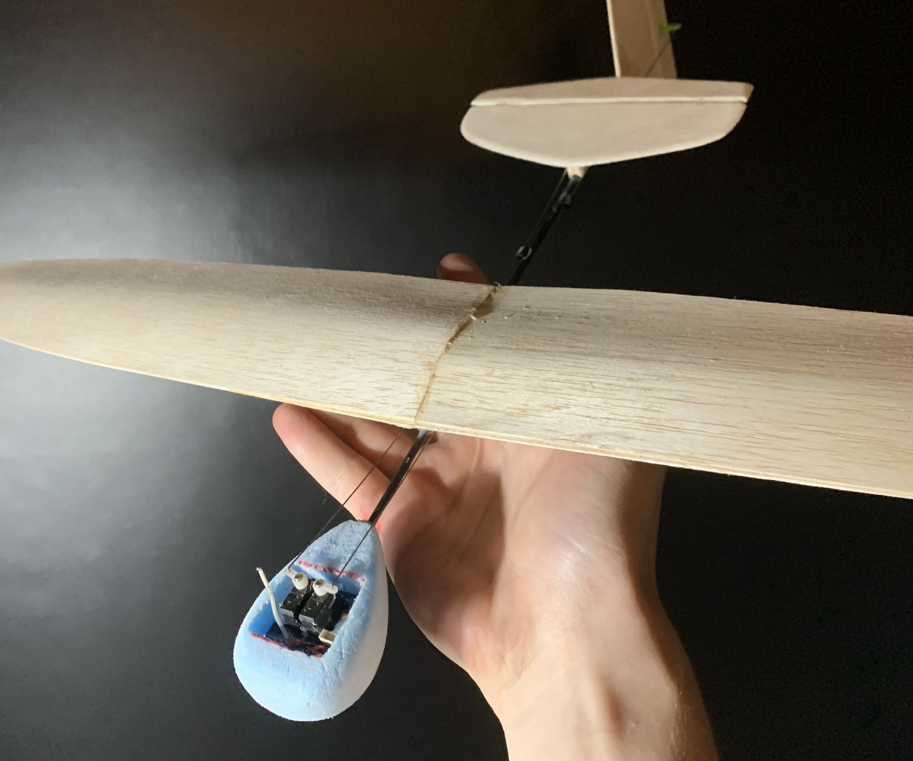 DIY Micro Rc Dlg Glider