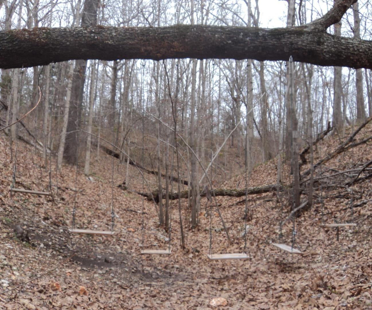 Ozark Fallen Tree Swing Set 