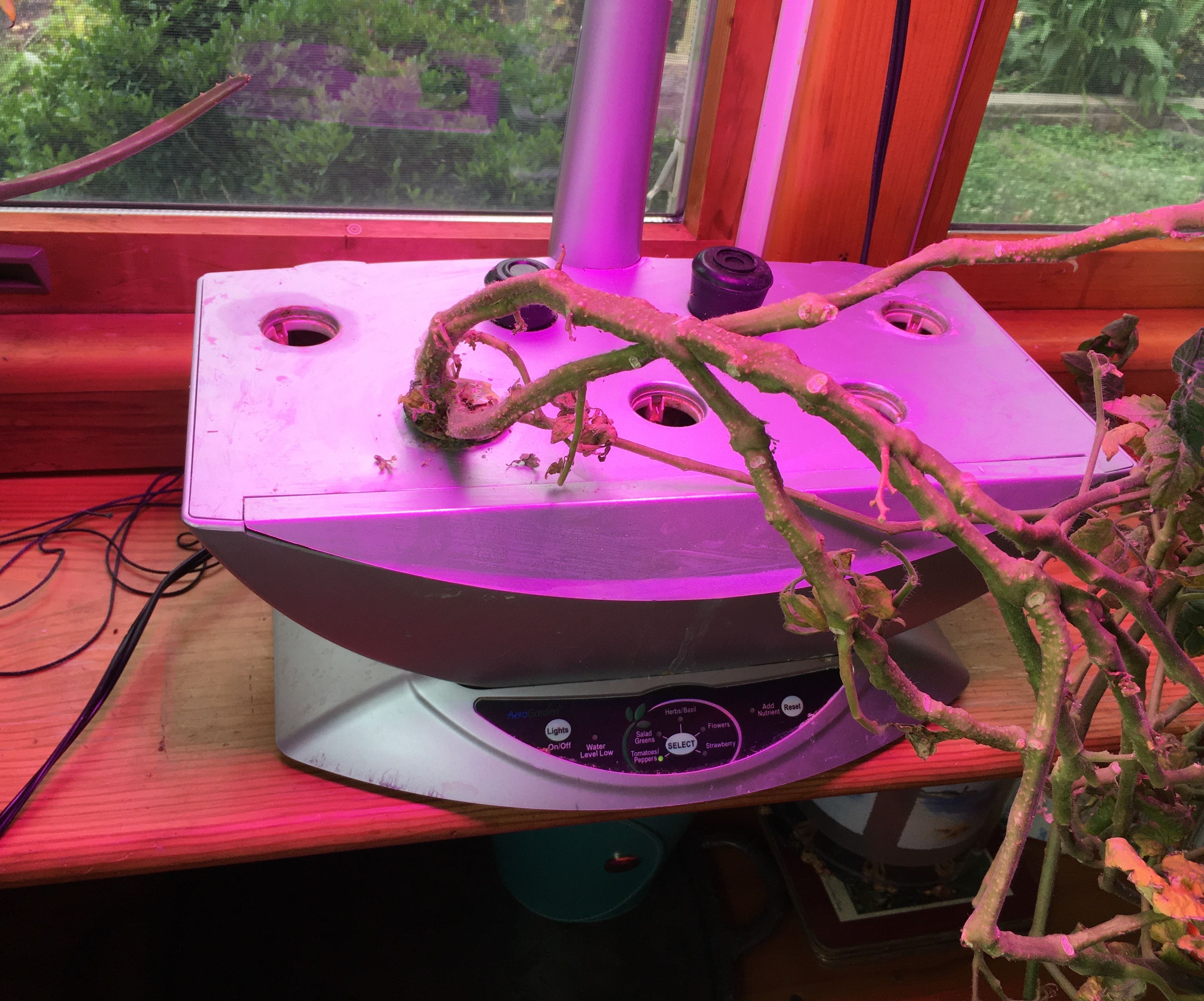 Repairing an Aerogarden Pump