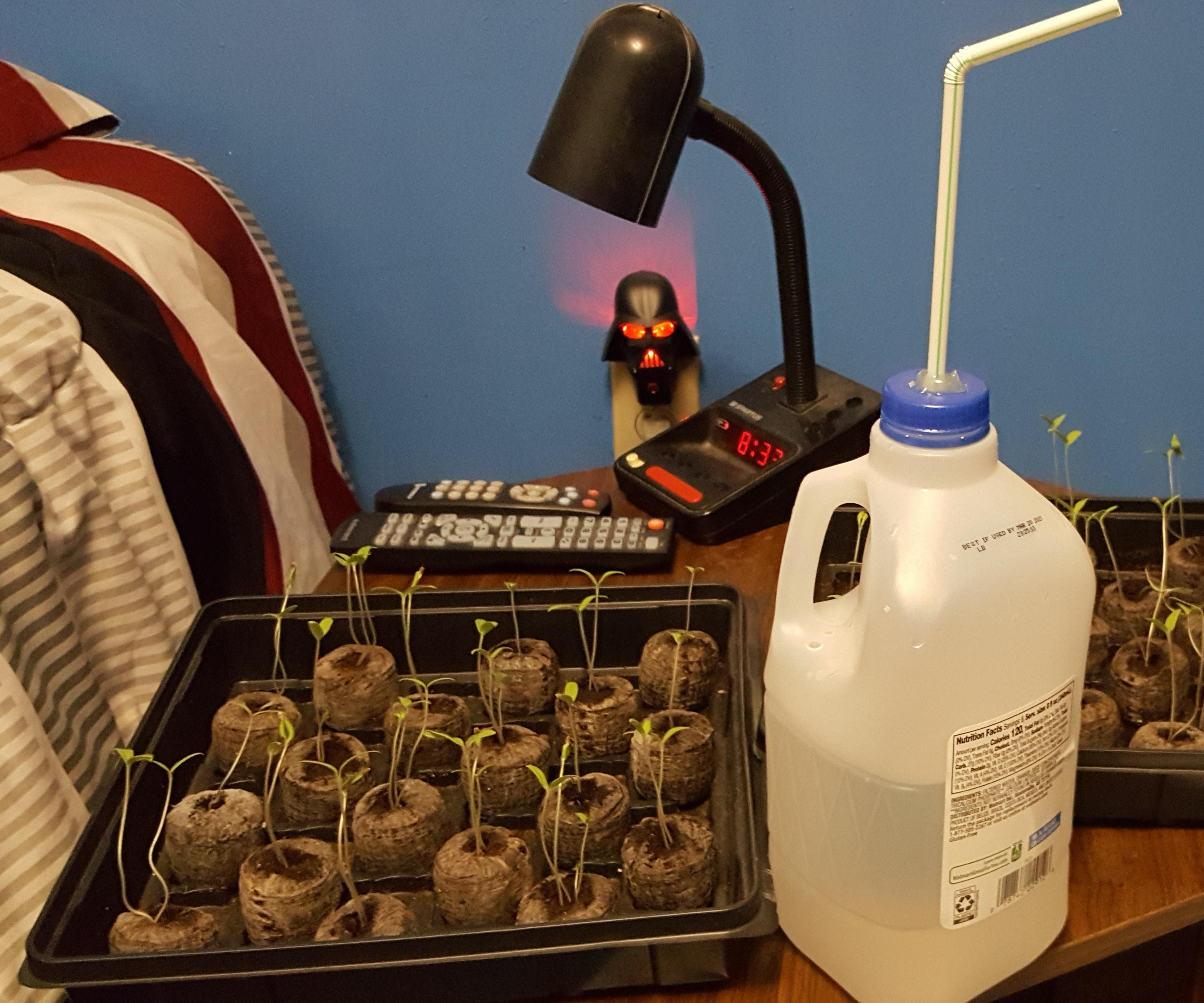 Nursery Watering Jug