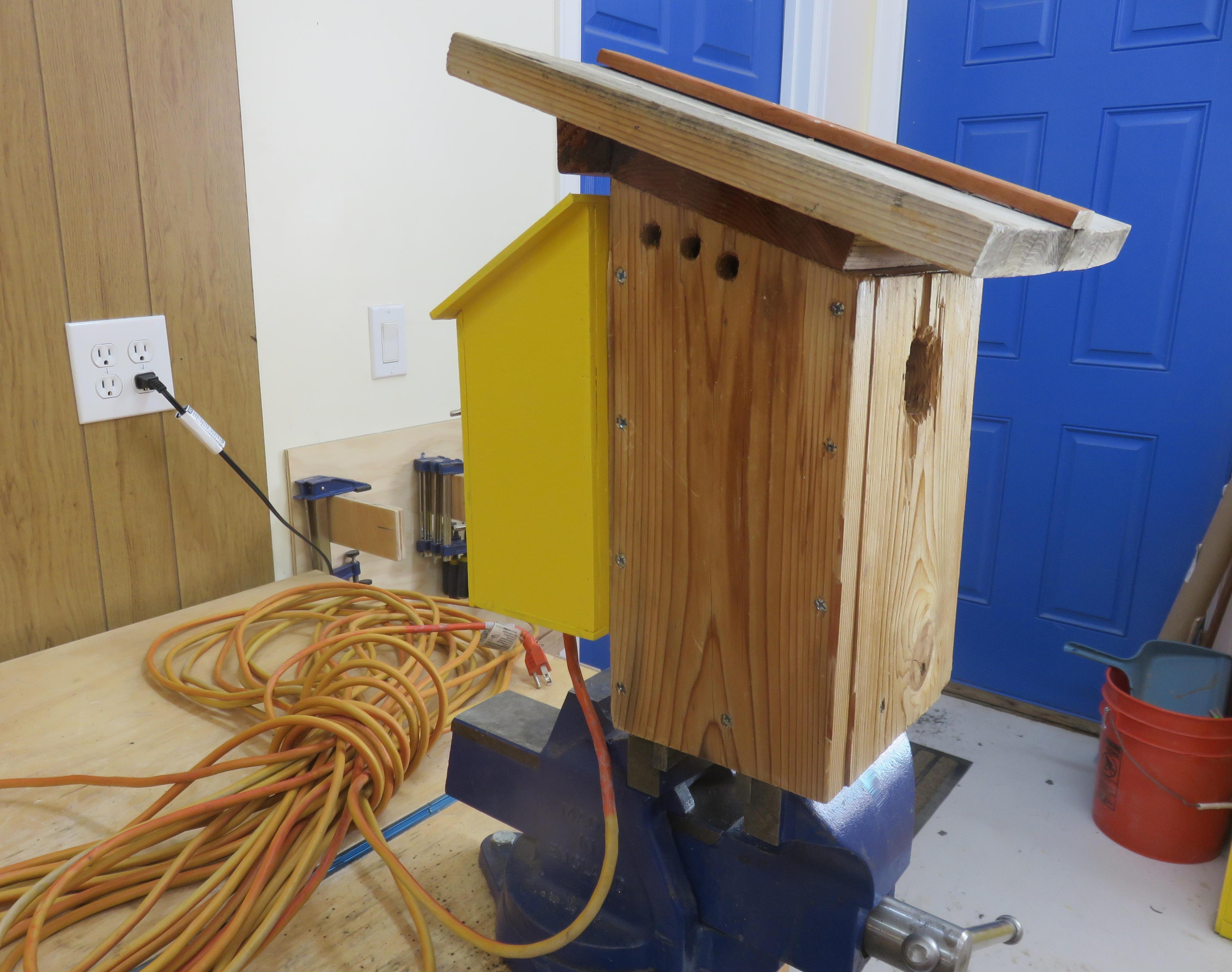 Add Camera and Lights to a Bluebird Nesting Box