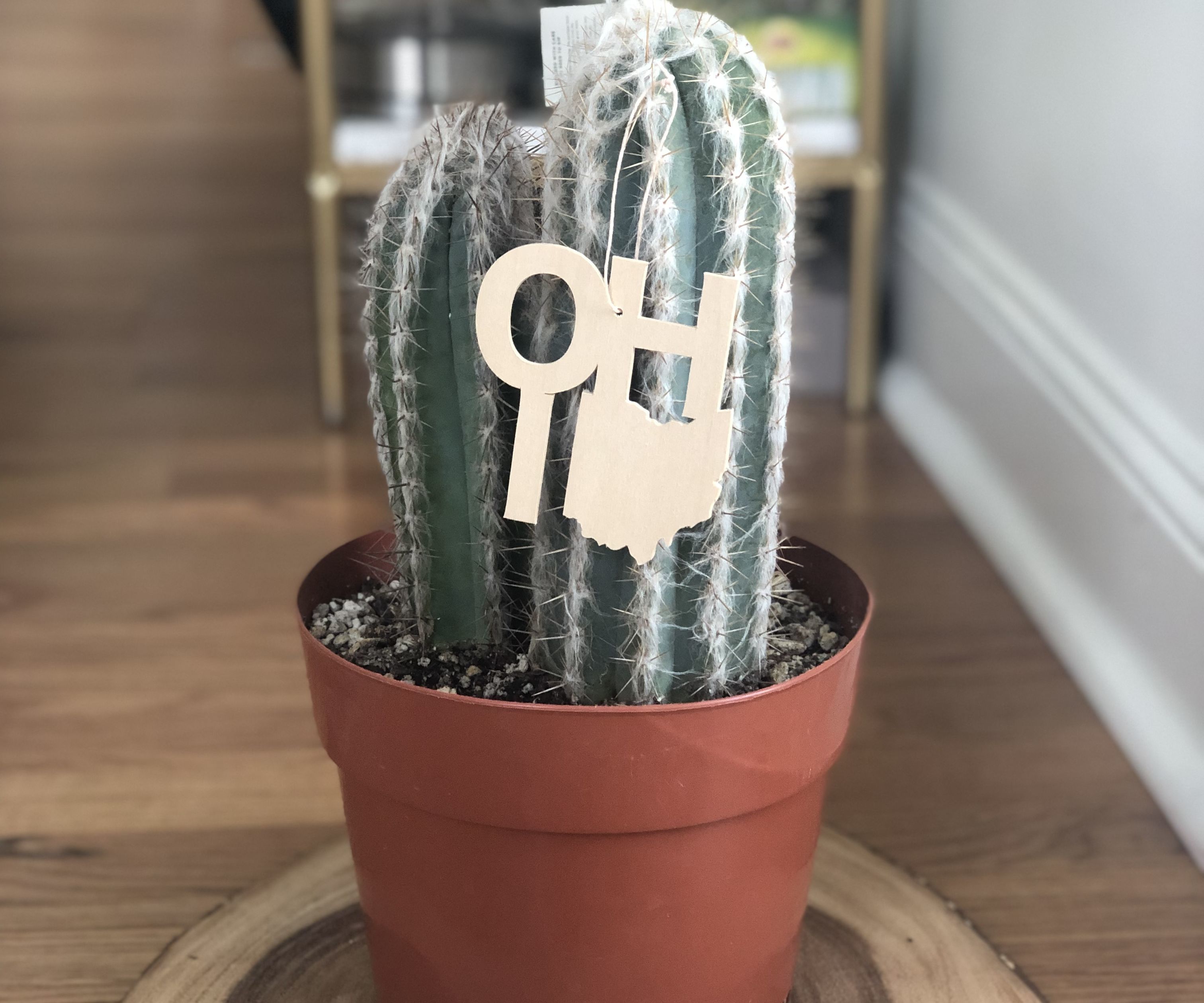 Wooden State Christmas Ornament DIY