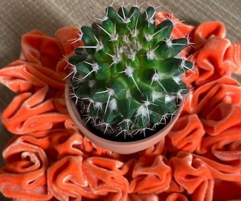 Smocking Orange Doily