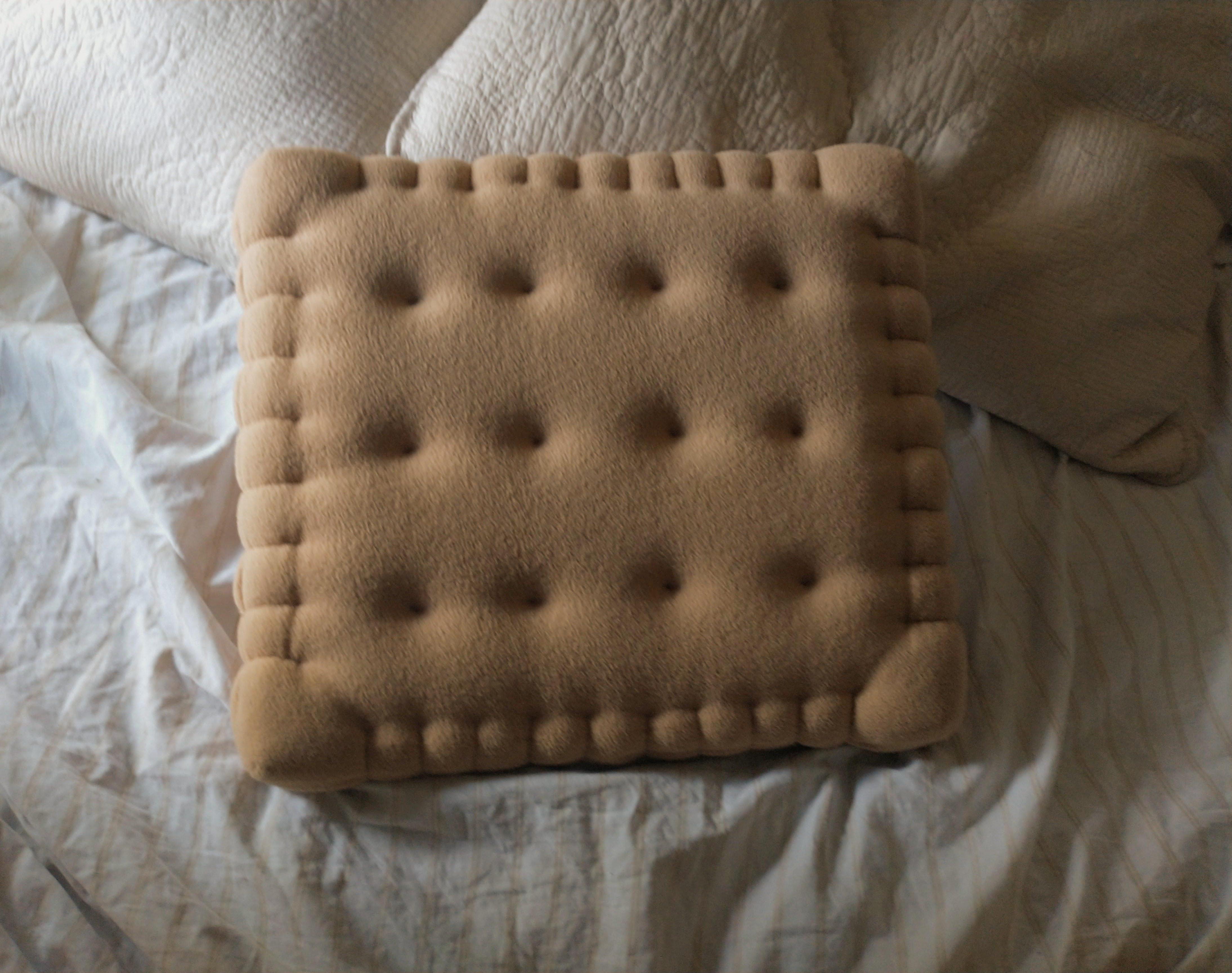 Cracker Pillow