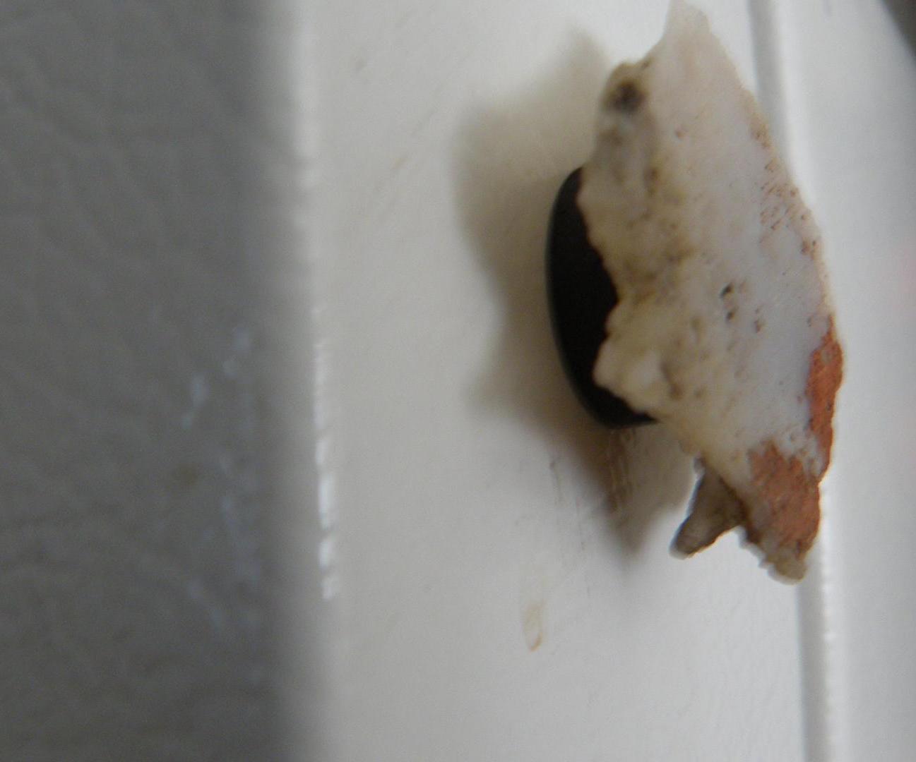 How to Make Rock Magnets