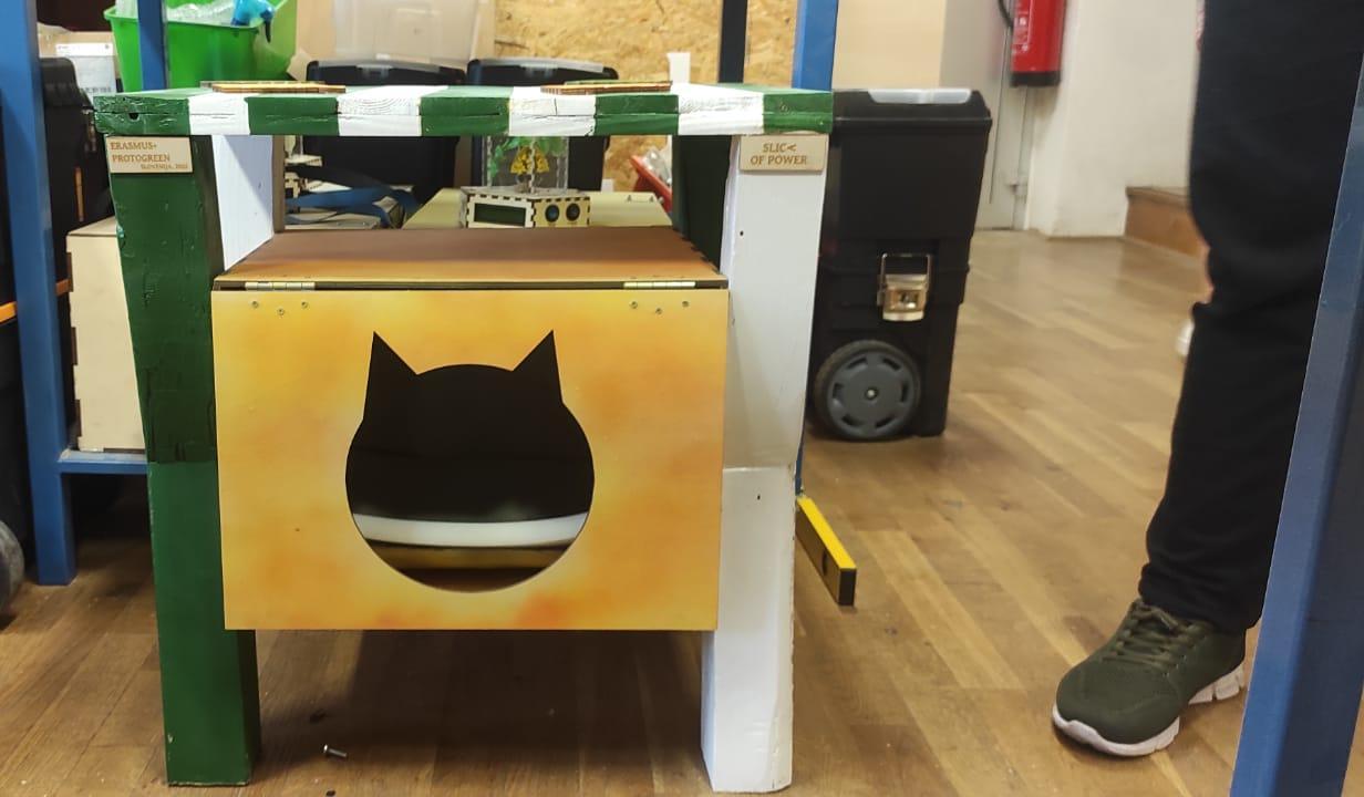  Table With Tiny House Stray Cats