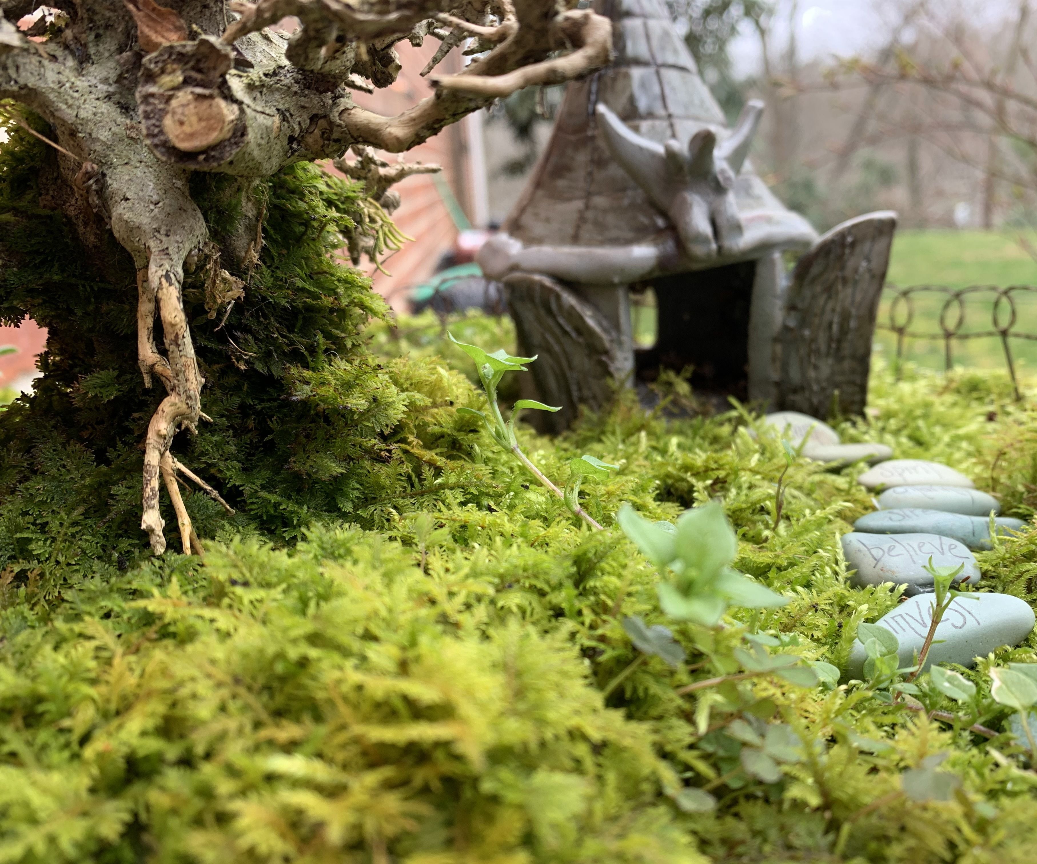 Mini Relaxation Garden