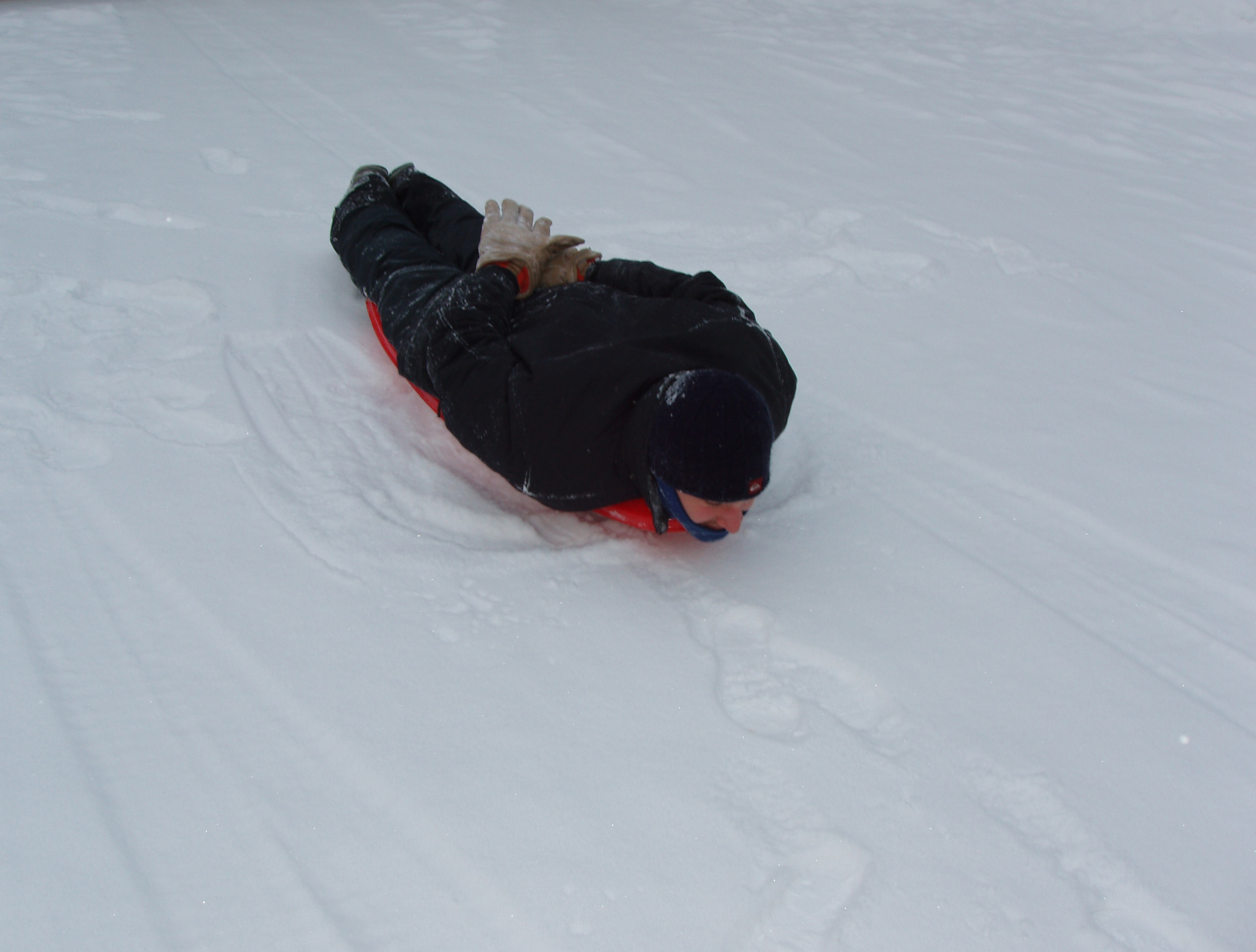 The Art of Sledding