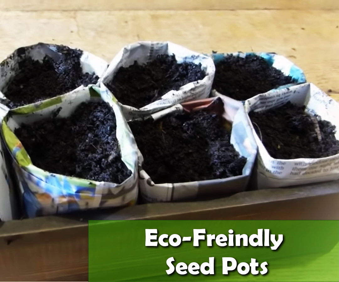 How to Start Seeds Without Plastic Pots  - DIY Eco-Friendly Seed Starting Pots