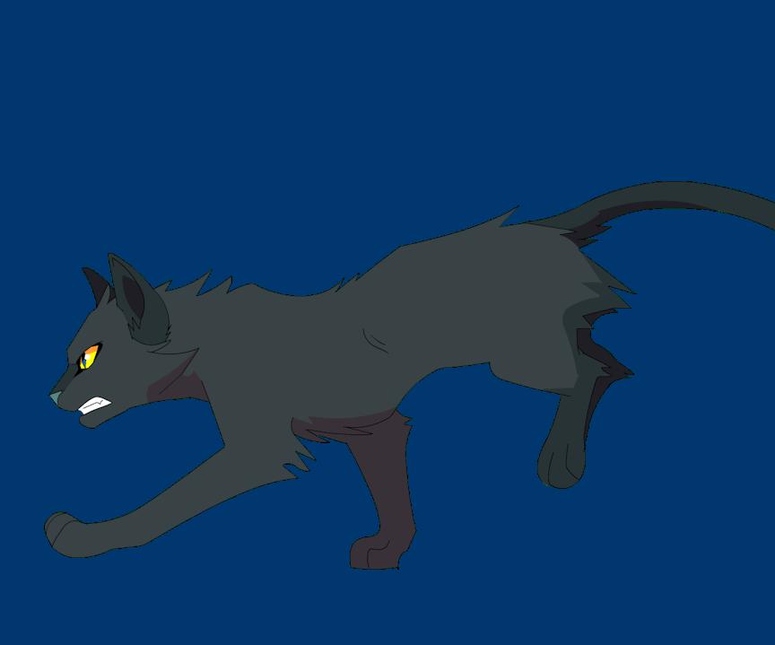 Warrior Cats OC Generator