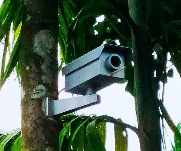 Bird House Designed Like a CCTV