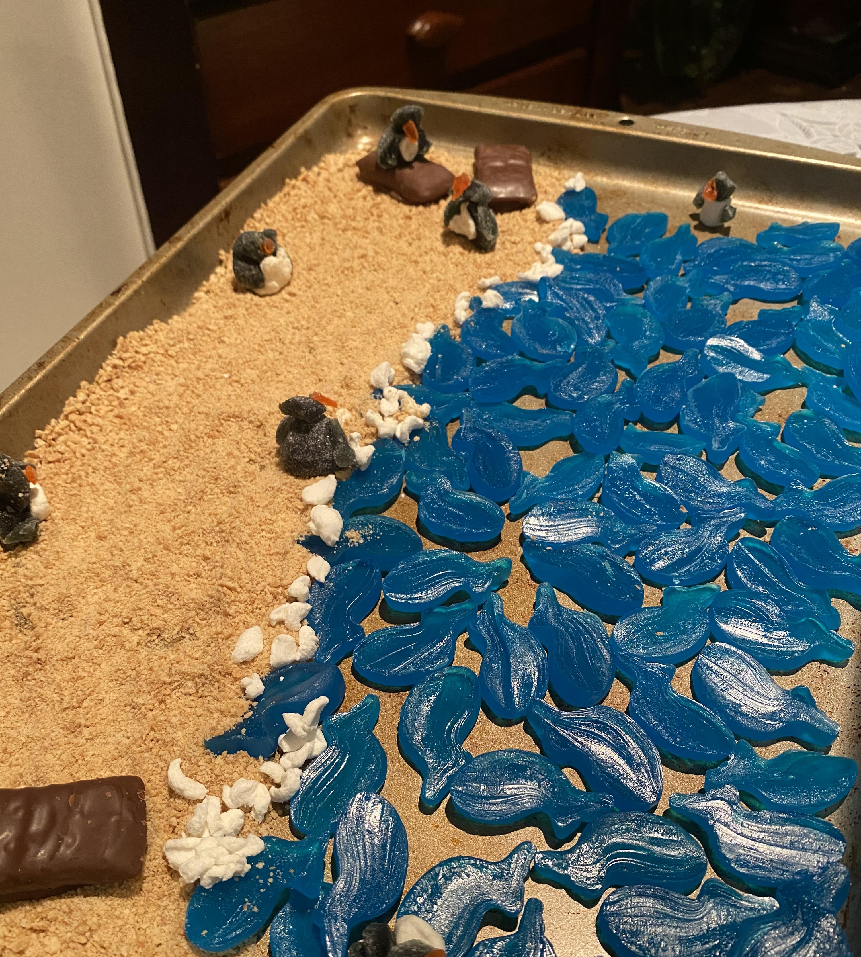 Boulders Beach Candy Ecosystem 