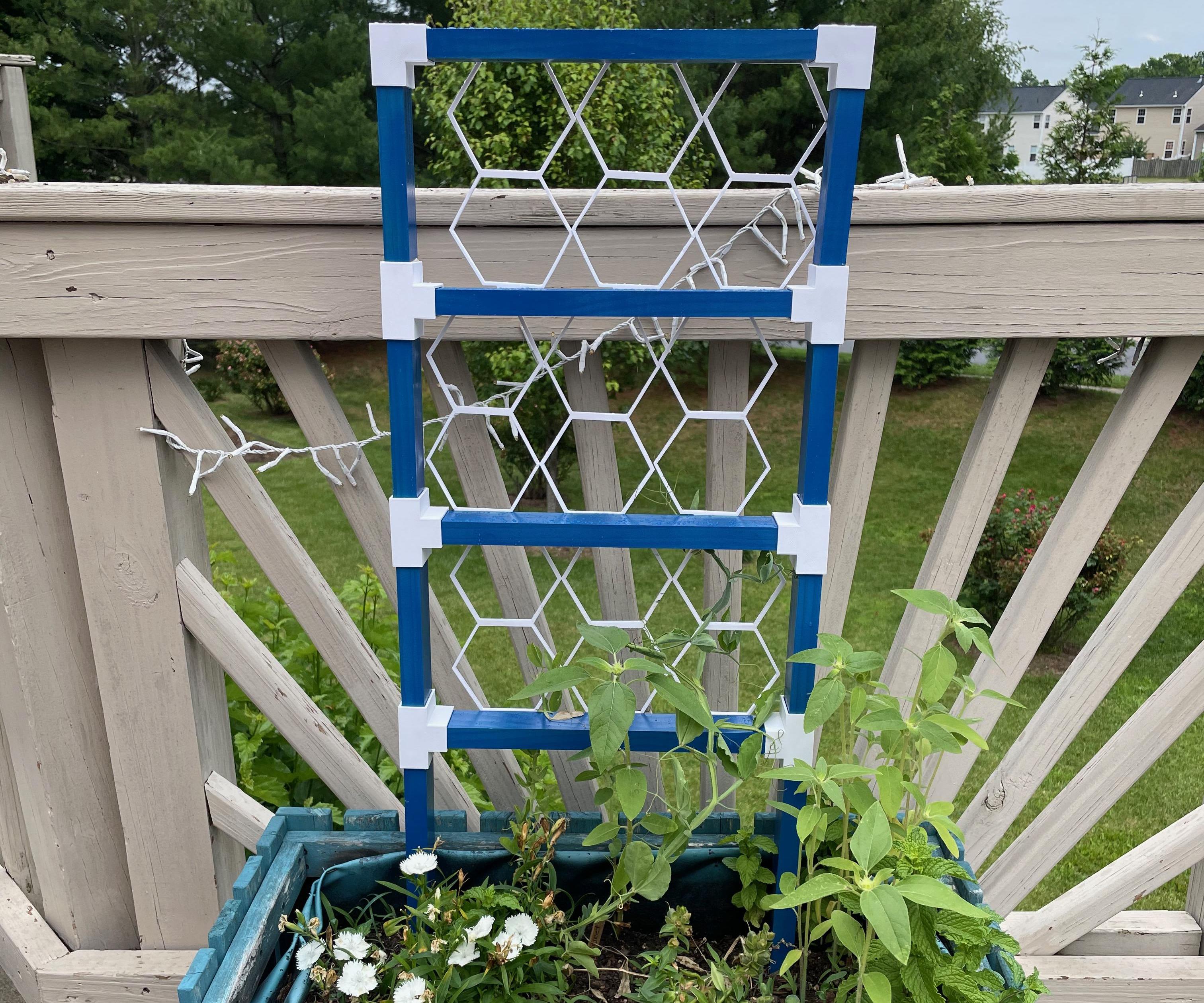 3D Growing Trellis