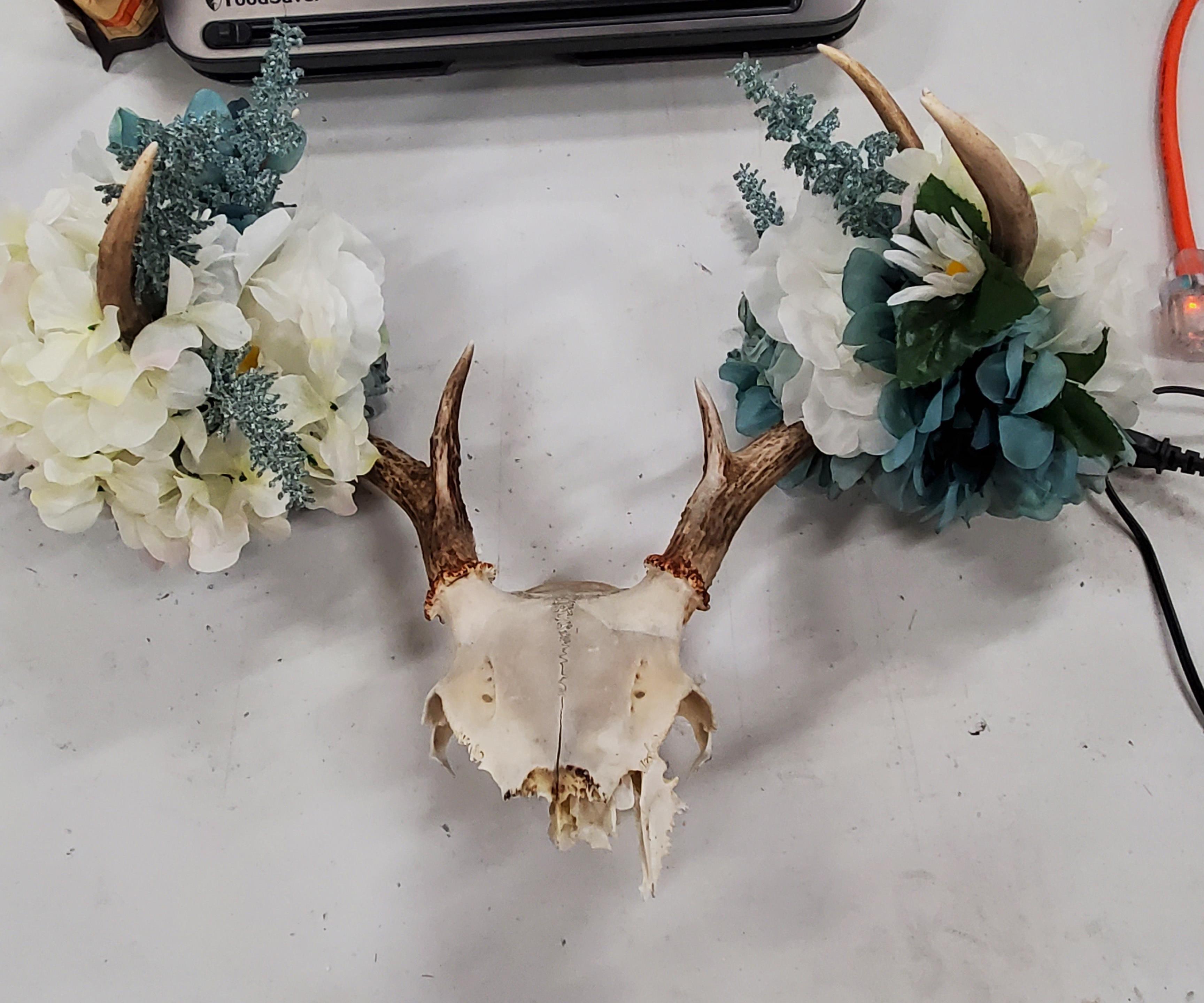 How to Make a Floral Decorated Deer Skull