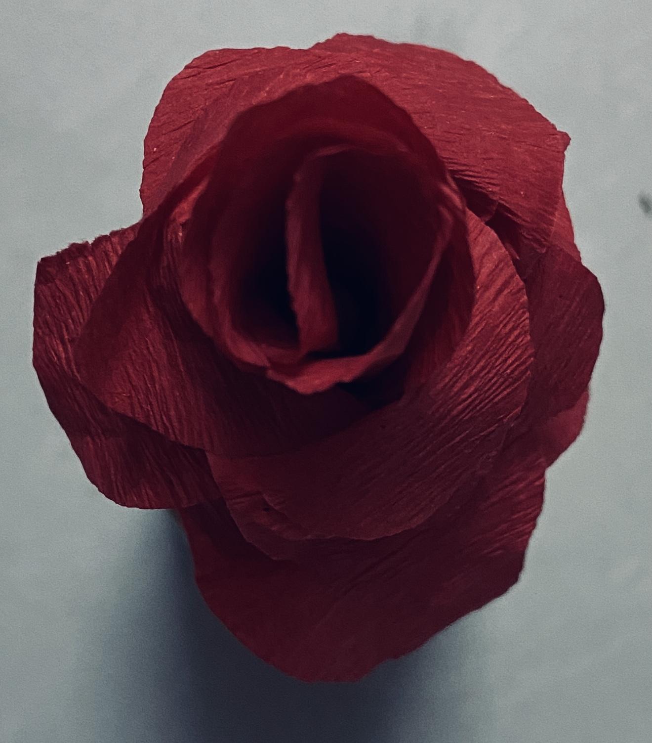How to Make Rose Flower With Crepe Paper in a Simple Way