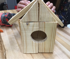 Bird House 2 by 4