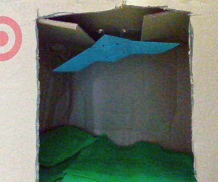 How to Make a Cat House