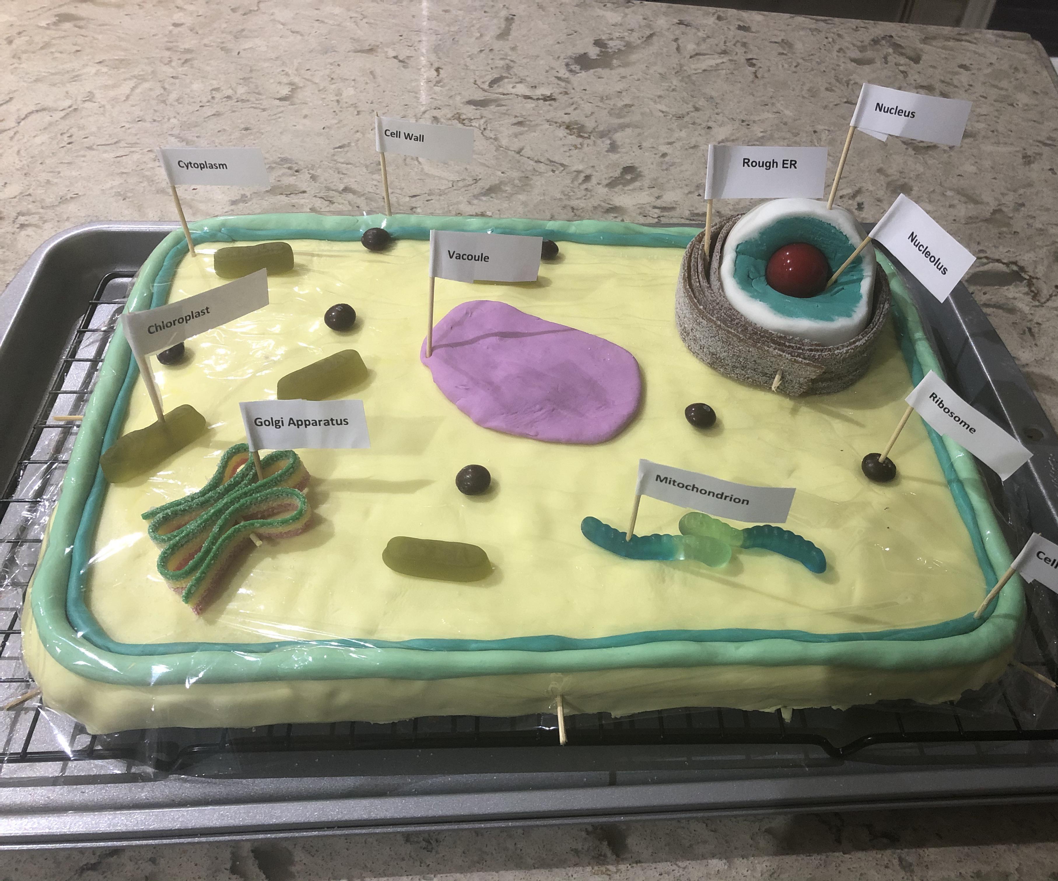 HOW TO MAKE 100% EDIBLE CAKE BASED CANDY PLANT CELL!