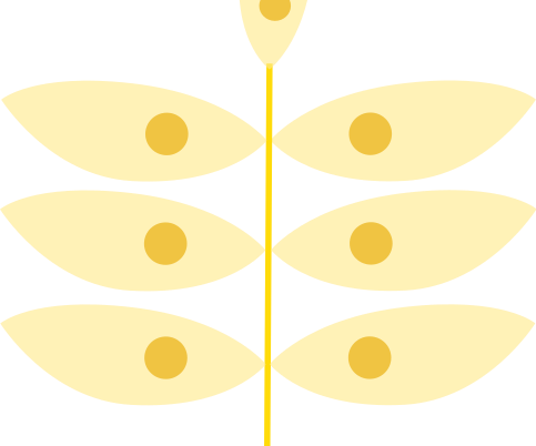 Clean Energy With N. Crassa