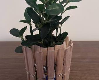 Recycled Can Planter