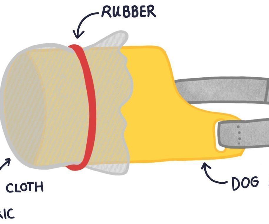 A BASIC COVID-19 MASK FOR DOGS