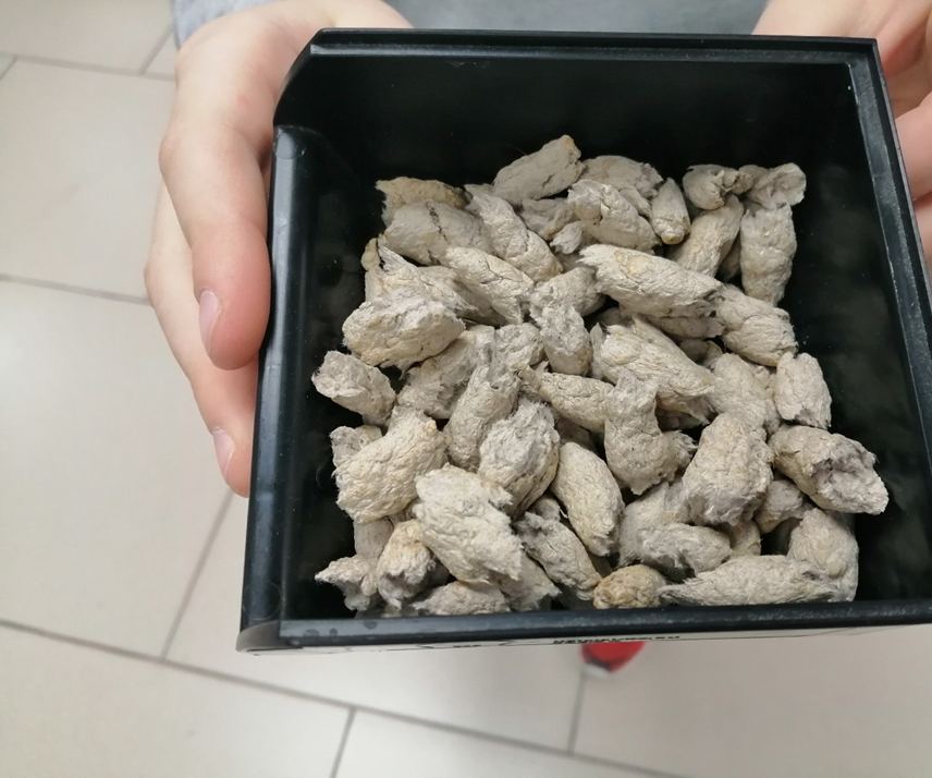 "DRY FEET" Вторая Жизнь Картона 