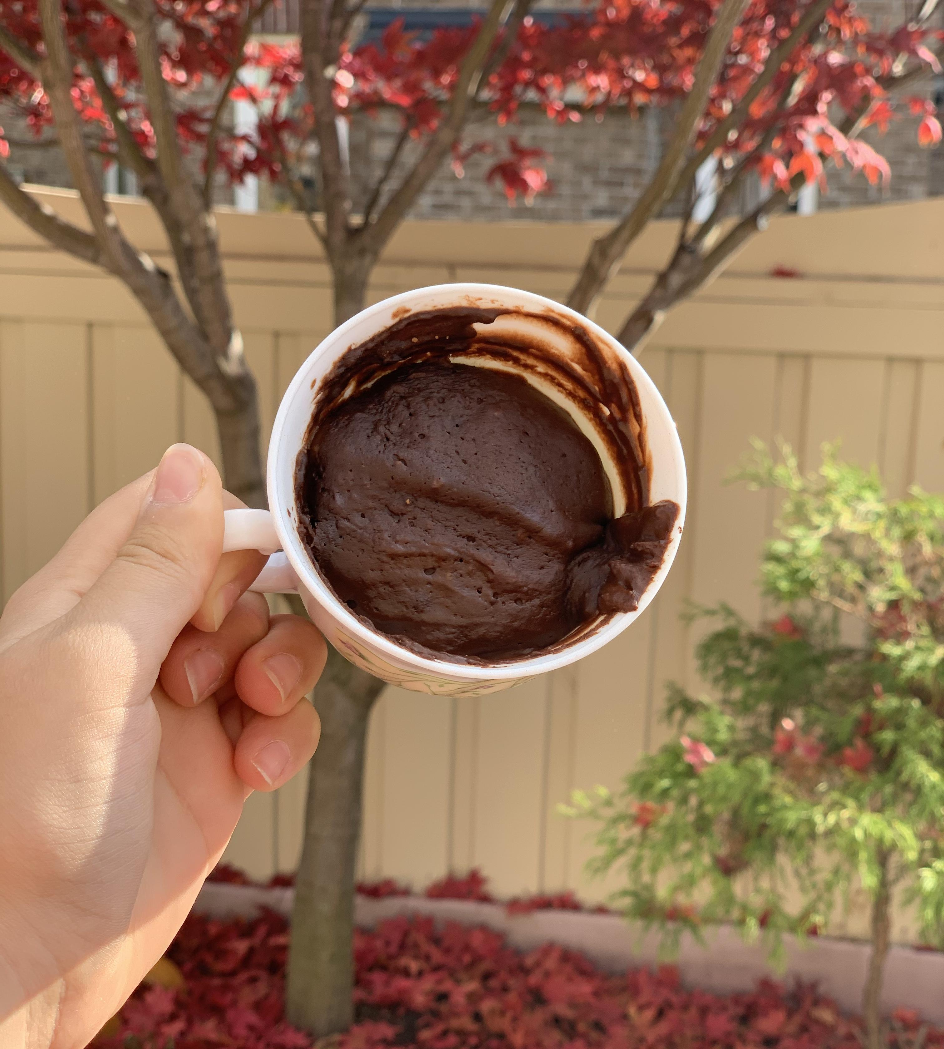 Easy Fluffy Mug Cake