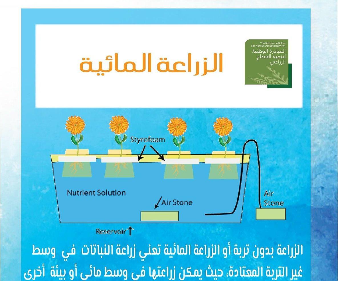 الزراعة المائيه