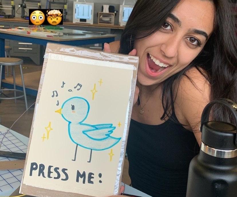 Bird Sound Makey Makey Project