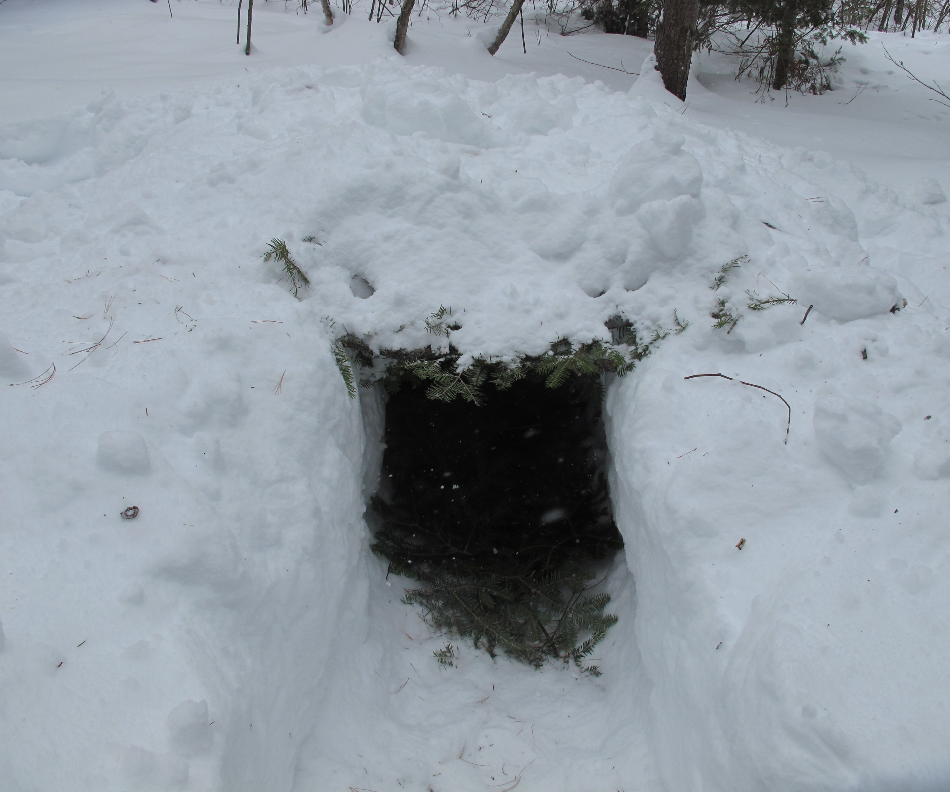 Trench Shelter
